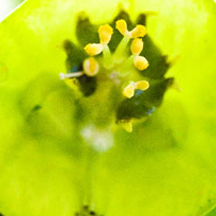 智慧办公必备的网站压力测试